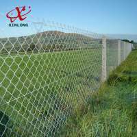 PVC/PE coated cheap stainless steel chain link mesh fence