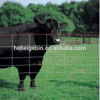 Cattle Fence Factory Sale 4x4 Galvanized Square Metal Fence Posts